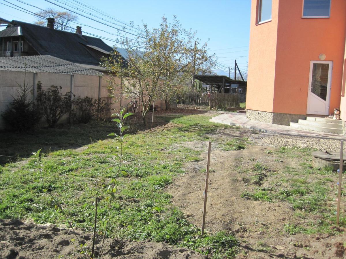 Apartamento Domashnya Oselya Verkhovyna Exterior foto